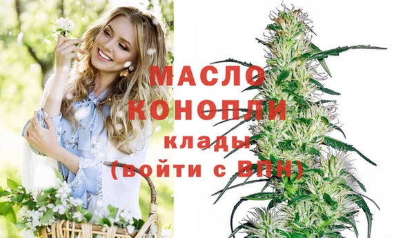 молекула духа Таштагол