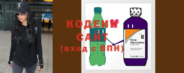 ПСИЛОЦИБИНОВЫЕ ГРИБЫ Михайлов