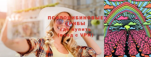 ПСИЛОЦИБИНОВЫЕ ГРИБЫ Михайлов