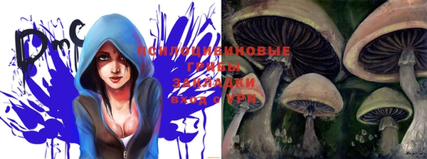 ПСИЛОЦИБИНОВЫЕ ГРИБЫ Михайлов