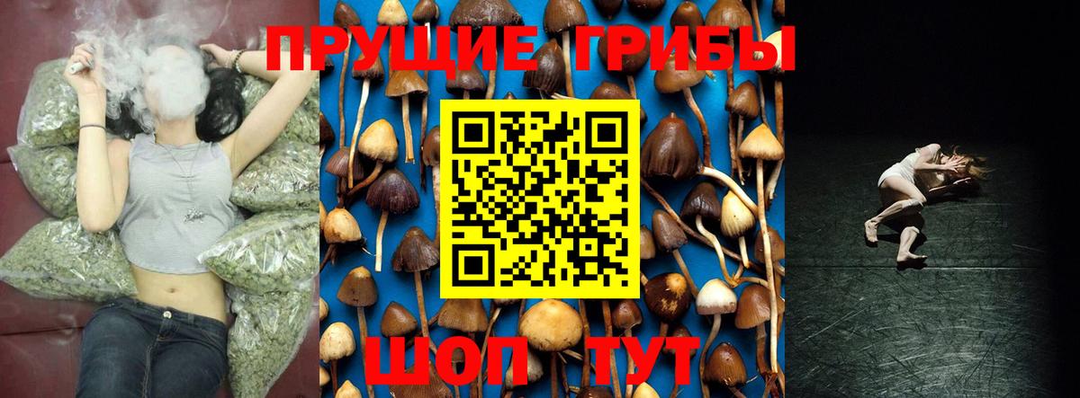 Улан-Удэ  Псилоцибиновые грибы Magic Shrooms  Вход с VPN 